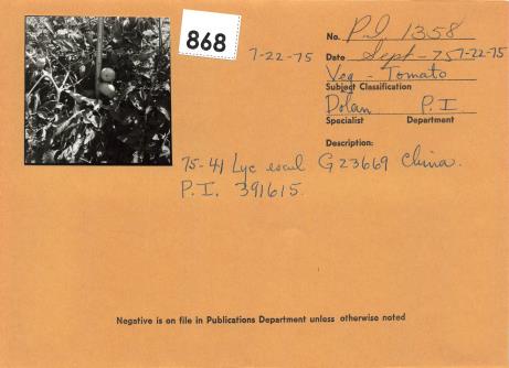 Click for 2 image(s) for this accession. Field